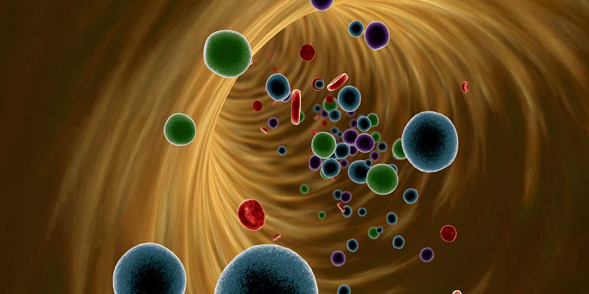 Platelet Rich Growth Factor